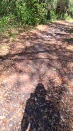 masterchamp01 — 在 cam4 直播的网络摄像头模特