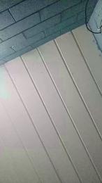 Nik_Ara93 — Cam4 stream photo (May 2026)