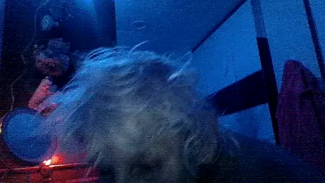 Jay81 — Stripchat stream photo (Jan 2026)
