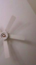 EllisD — 在 cam4 直播的网络摄像头模特