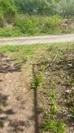 liegeois — Cam4 stream photo (Apr 2026)