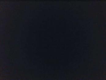 SexyBunny1290 — Bongacams stream photo (May 2026)