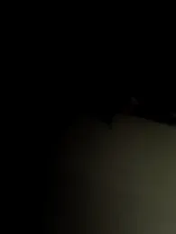 Sweetcpl — Stripchat stream photo (Oct 2025)