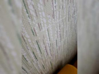 BabyMarm — Bongacams stream photo (Dec 2025)