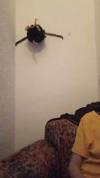 Nereitatenn1 — Cam4 profile photo