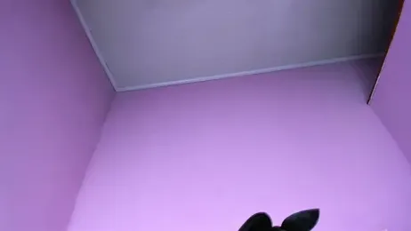 Valery2_salazar — Stripchat stream photo (Apr 2026)