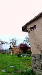 Mooooustache — 在 cam4 直播的网络摄像头模特