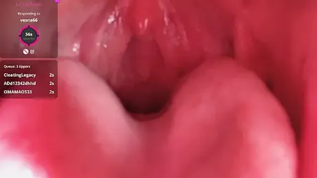 donghuangtaiyi--- — Stripchat stream photo (Mar 2026)