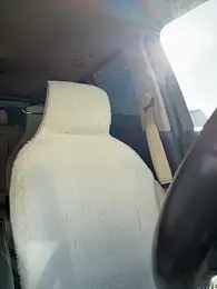 SportsManBi — Stripchat stream photo (Mar 2026)