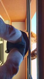 Exibbi42 — Cam4 stream photo (Apr 2026)