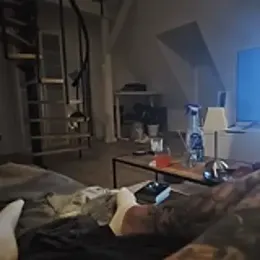 Inkasso19cm — stripchat