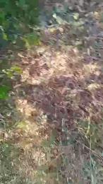 dege_hot — Cam4 stream photo (Jul 2026)