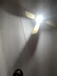 koolbend — Stripchat profile photo