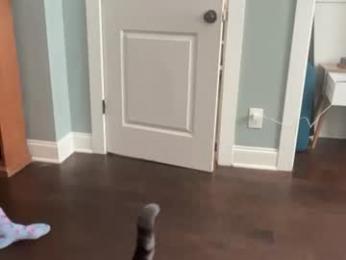 bendlikebecks — chaturbate