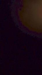 Petitemiss_89 — Cam4 stream photo (Jan 2025)