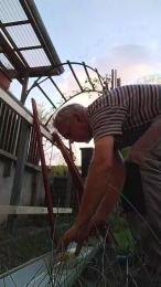 Lichterengel — 在 cam4 直播的网络摄像头模特