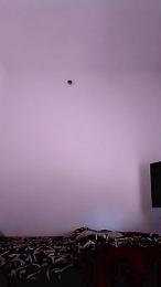 Spasivasire — cam4