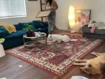 dreamyriri — Chaturbate stream photo (Jul 2026)