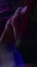 JohnnyD989 — Cam4 stream photo (Apr 2026)