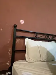 Vihaaanfucks — 在 stripchat 直播的网络摄像头模特