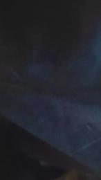 Pollonazo — Cam4 stream photo (Mar 2026)