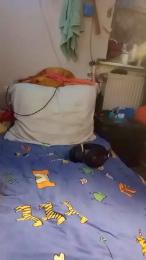 DrHuelsentrieb — Cam4 stream photo (Apr 2026)