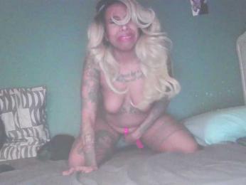 Stella-Clitella — bongacams