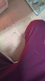 meayudas1 — 在 cam4 直播的网络摄像头模特