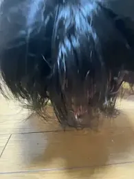 sora131116 — 在 stripchat 直播的网络摄像头模特