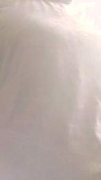 Superworms — Cam4 stream photo (Dec 2025)