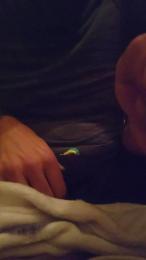 sailorsex_hot — Cam4 stream photo (Mar 2026)