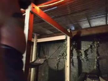 hardworkertn — chaturbate