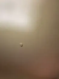 high3ndlowlife — Stripchat stream photo (Apr 2026)