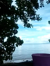 emiliemilf — Stripchat stream photo (Apr 2026)