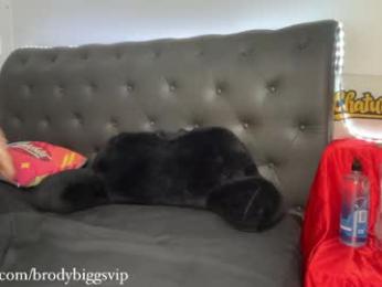brodybiggs — chaturbate