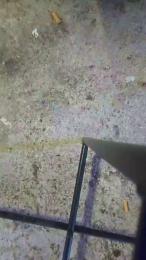 Pourreel — Cam4 stream photo (Jul 2026)