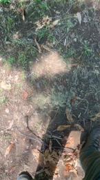 bigloaditaly — Cam4 stream photo (Aug 2025)