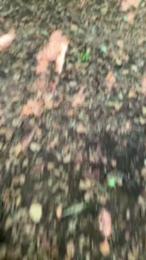 bigloaditaly — Cam4 stream photo (Sep 2025)