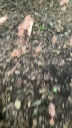 bigloaditaly — Cam4 stream photo (Sep 2025)
