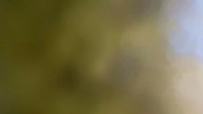 BIGONEPD26 — 在 cam4 直播的网络摄像头模特