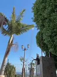 MrAndMrsSavage — 在 stripchat 直播的网络摄像头模特