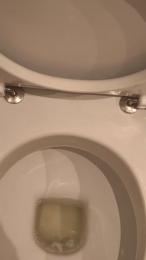 francesc80 — 在 cam4 直播的网络摄像头模特