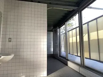 ge3noxxx — Stripchat stream photo (Feb 2026)