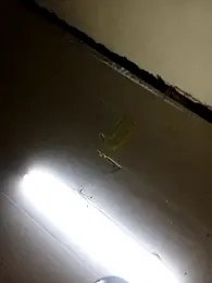 YKTV_ — Stripchat stream photo (Mar 2026)