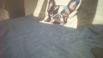 ian901 — Cam4 stream photo (Apr 2025)