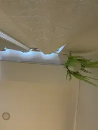 ZaraLuuv — Stripchat stream photo (Mar 2026)