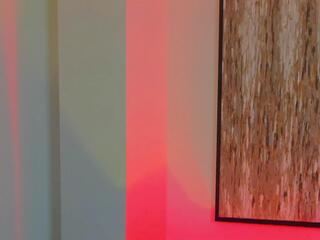 Jeff Clark — Flirt4free profile photo