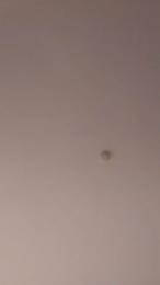 Rafamadrid — Cam4 stream photo (Oct 2026)