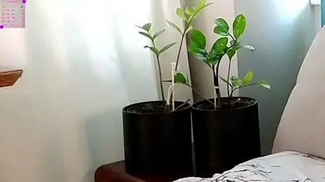 DarylAshworth — Stripchat stream photo (Mar 2026)