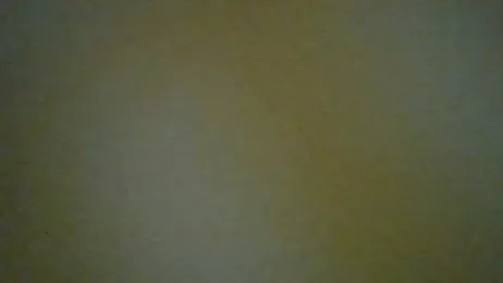 ExoticVibes69 — Stripchat stream photo (Oct 2025)